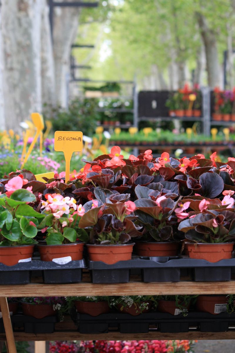 Beating The Short New York Growing Season Beating The Short New York Growing Season