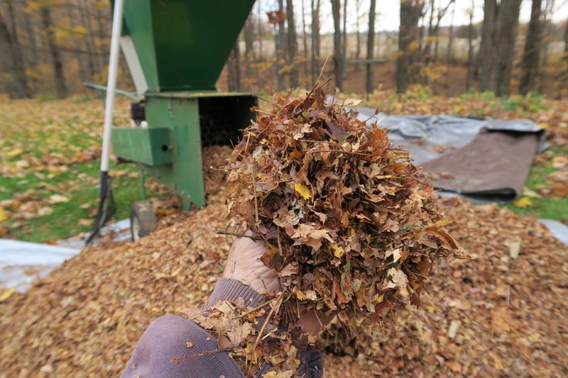 Beds Farther From The House Can Still Put Those Leaves To Use