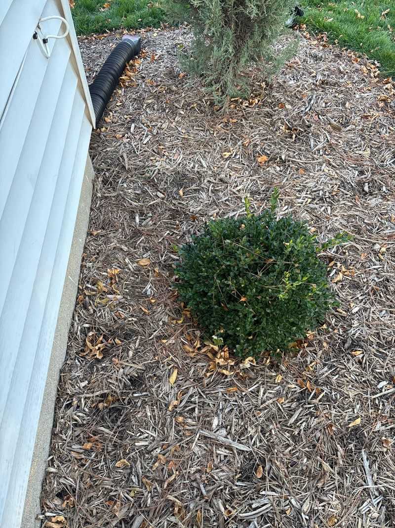 Beds Hugging The House Benefit From A Strip Of Bare Ground