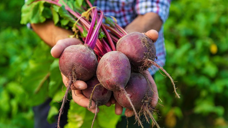 Beets Beets