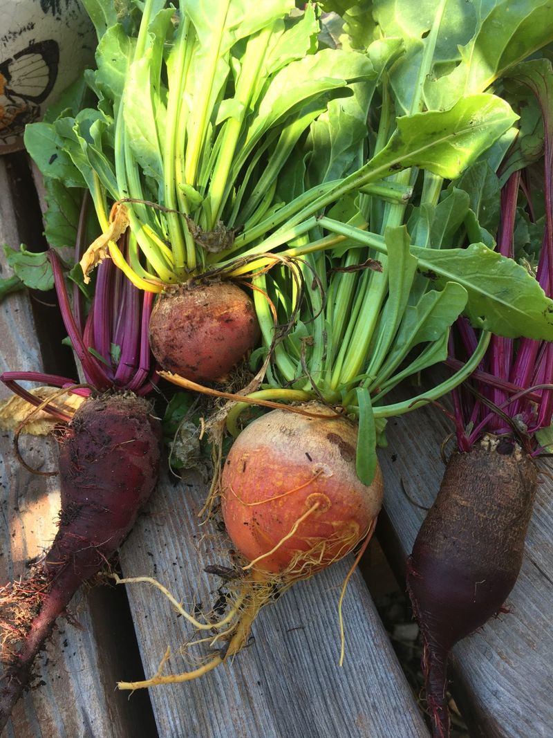 Beets Beets