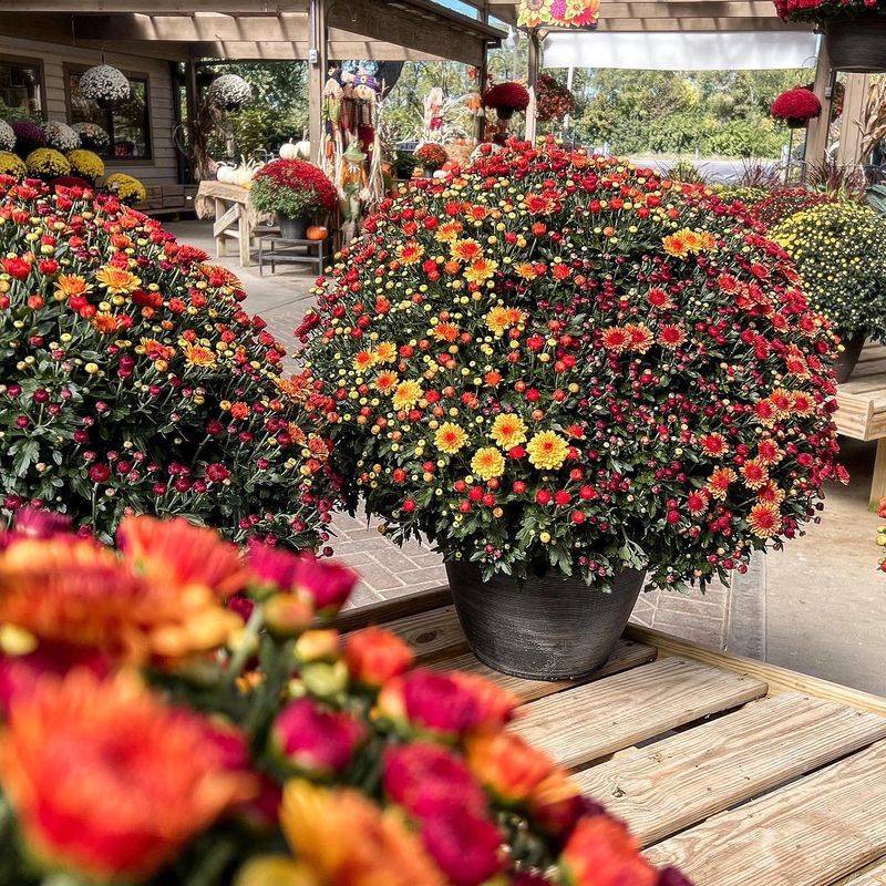 Berns Garden Center, Middletown