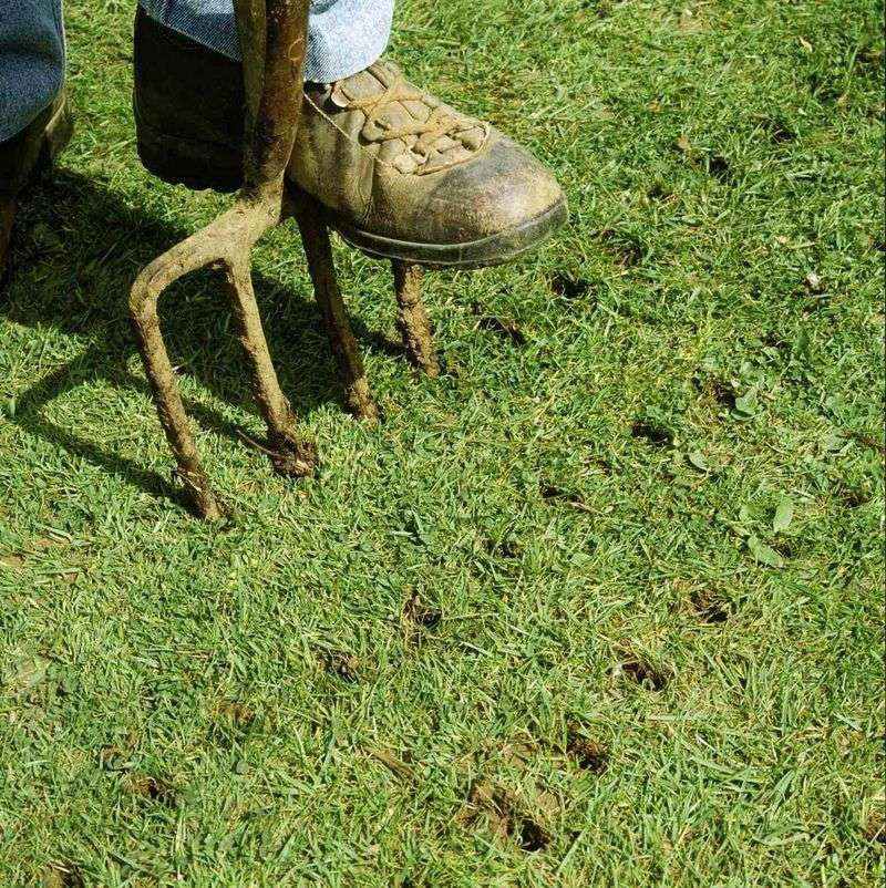 Better Drainage And Preventive Fungicide Can Help Next Fall