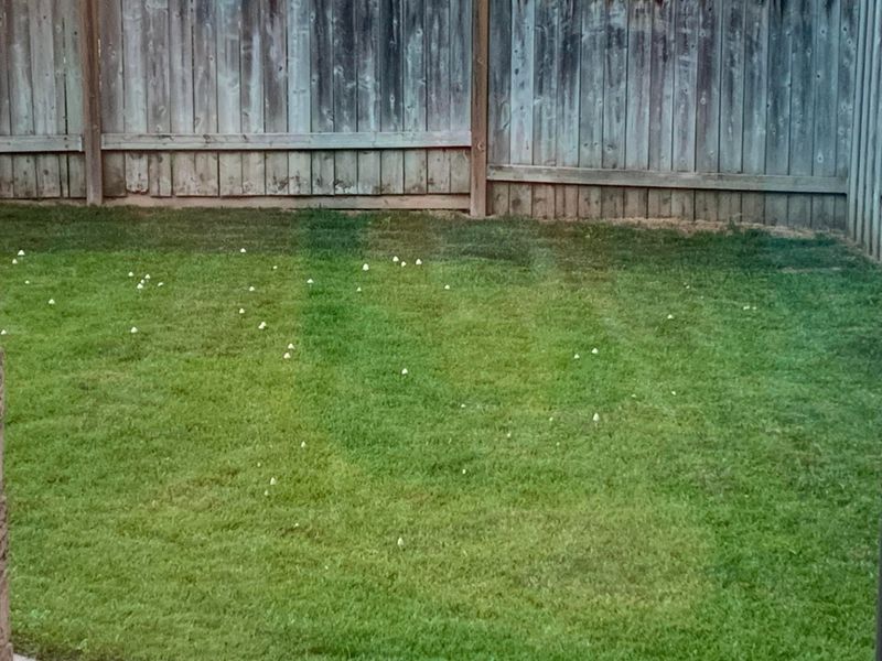 Better Drainage Means Fewer Surprises Better Drainage Means Fewer Surprises