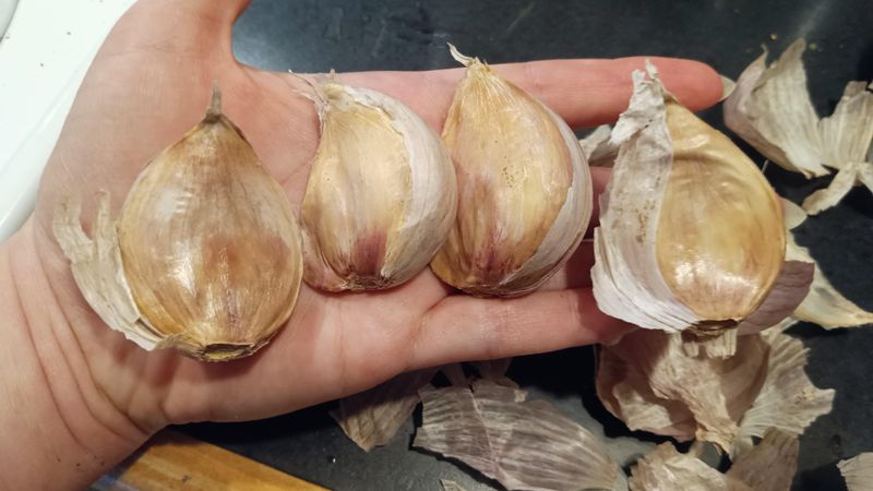Big Cloves Grow Big Bulbs Big Cloves Grow Big Bulbs
