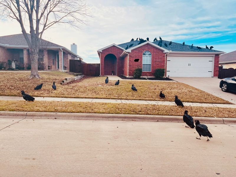 Big Groups Often Roost Near Neighborhoods Big Groups Often Roost Near Neighborhoods