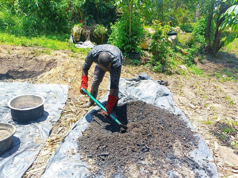 Biochar Is A Long-Lasting Form Of Carbon