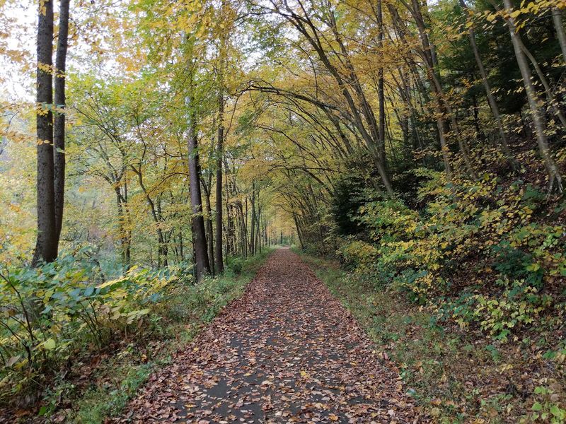 Blackhand Gorge, Licking County Blackhand Gorge, Licking County