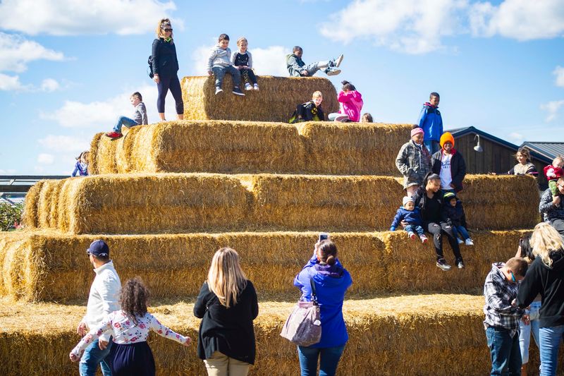 Blake's Orchard & Cider Mill Has Room For The Whole Family