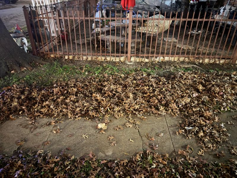 Blowing Leaves Back Over The Fence Can Create A New Dispute