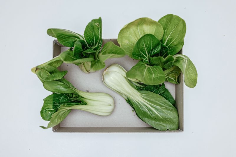 Bok Choy Spaced Throughout A Square Planter