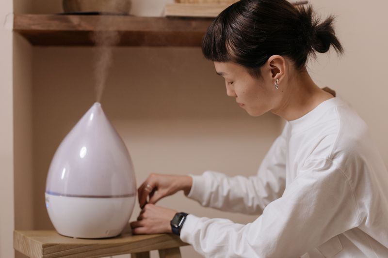 Boost Humidity During Dry Winter Months