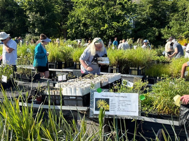 Botanical Gardens Host Spring And Fall Sales
