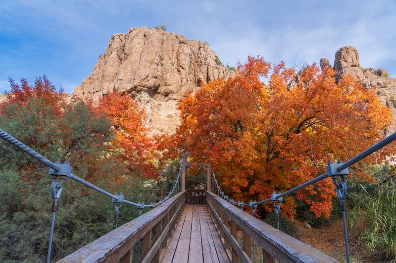 Boyce Thompson Arboretum
