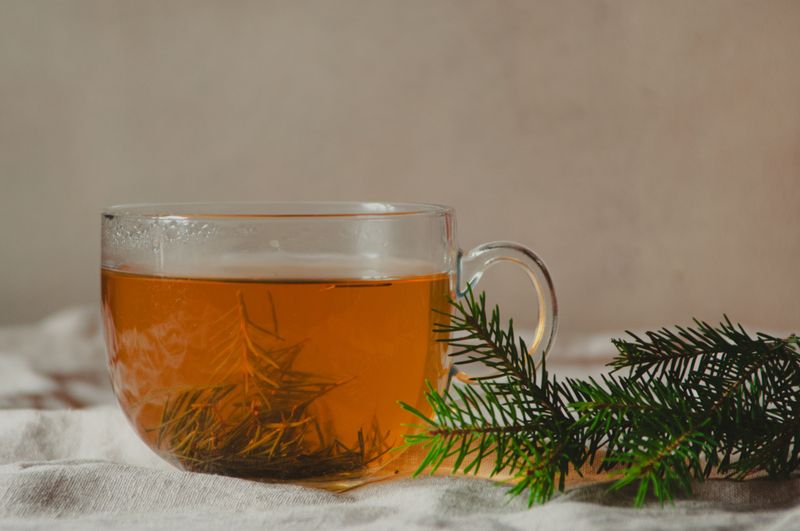 Brew A Soothing Pine Cone Tea Brew A Soothing Pine Cone Tea