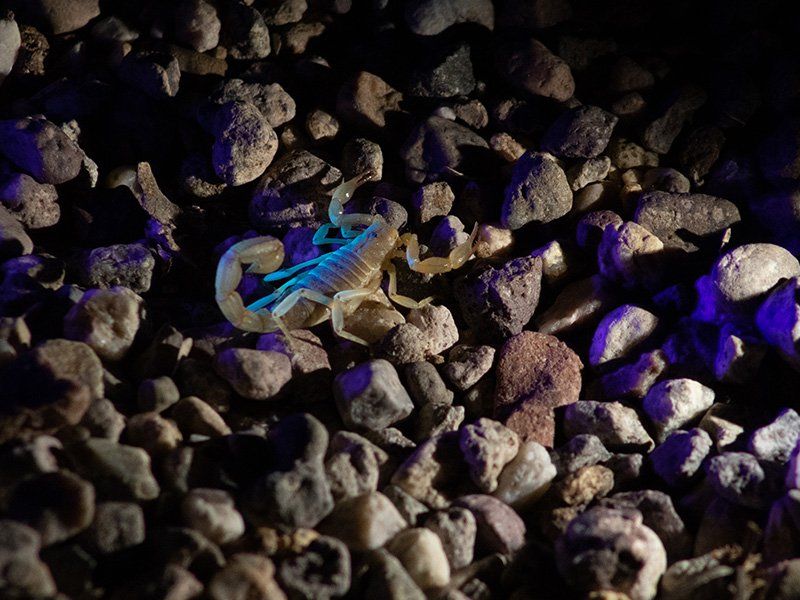 Bright Outdoor Lighting
