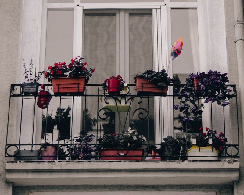 Brightening Small City Apartments With Living Color Brightening Small City Apartments With Living Color