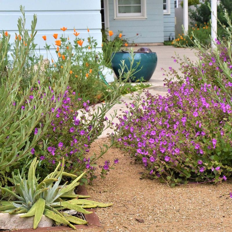 Bring A Plant List And Site Notes