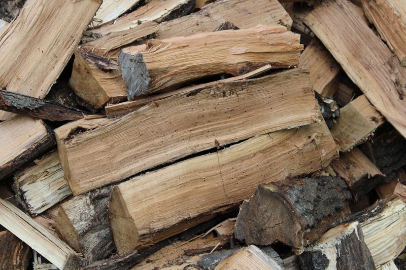 Bringing In Firewood Without Checking It