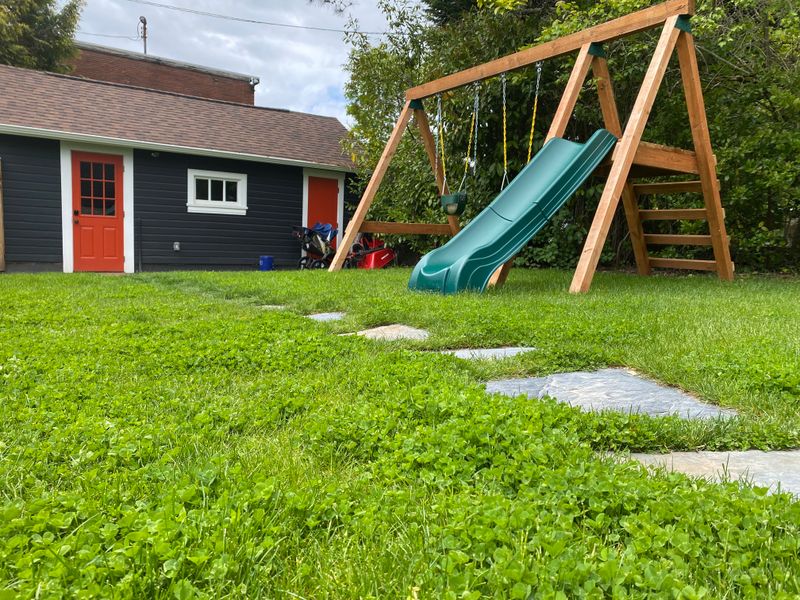 Broadleaf Weed Sprays Can Eliminate It Along With The Weeds Broadleaf Weed Sprays Can Eliminate It Along With The Weeds