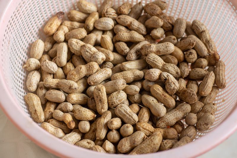 Brush Off Dirt And Sort Out Moldy Peanut Pods