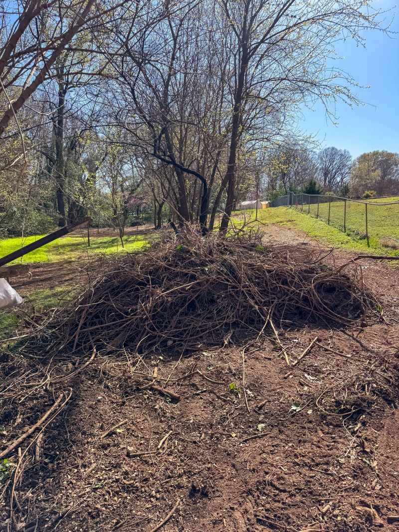 Brush Piles Left From Summer Cleanup