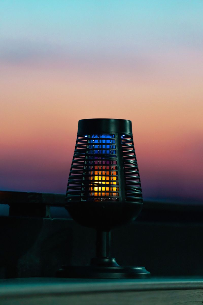 Build A Simple Light Trap For Nighttime Build A Simple Light Trap For Nighttime