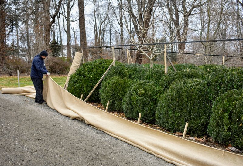 Build Simple Shelters For Oregon Shrubs