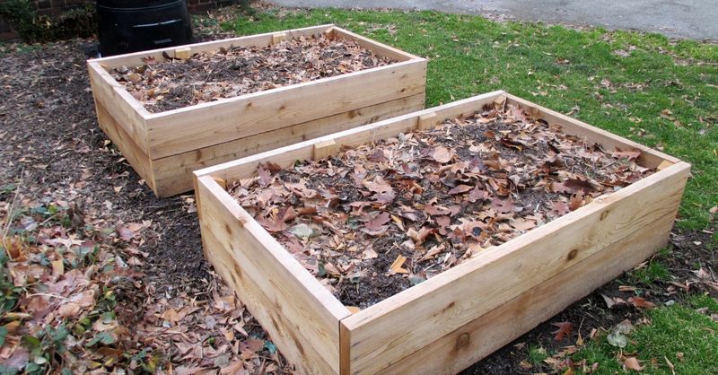 Build Up Your Soil Over Winter Build Up Your Soil Over Winter