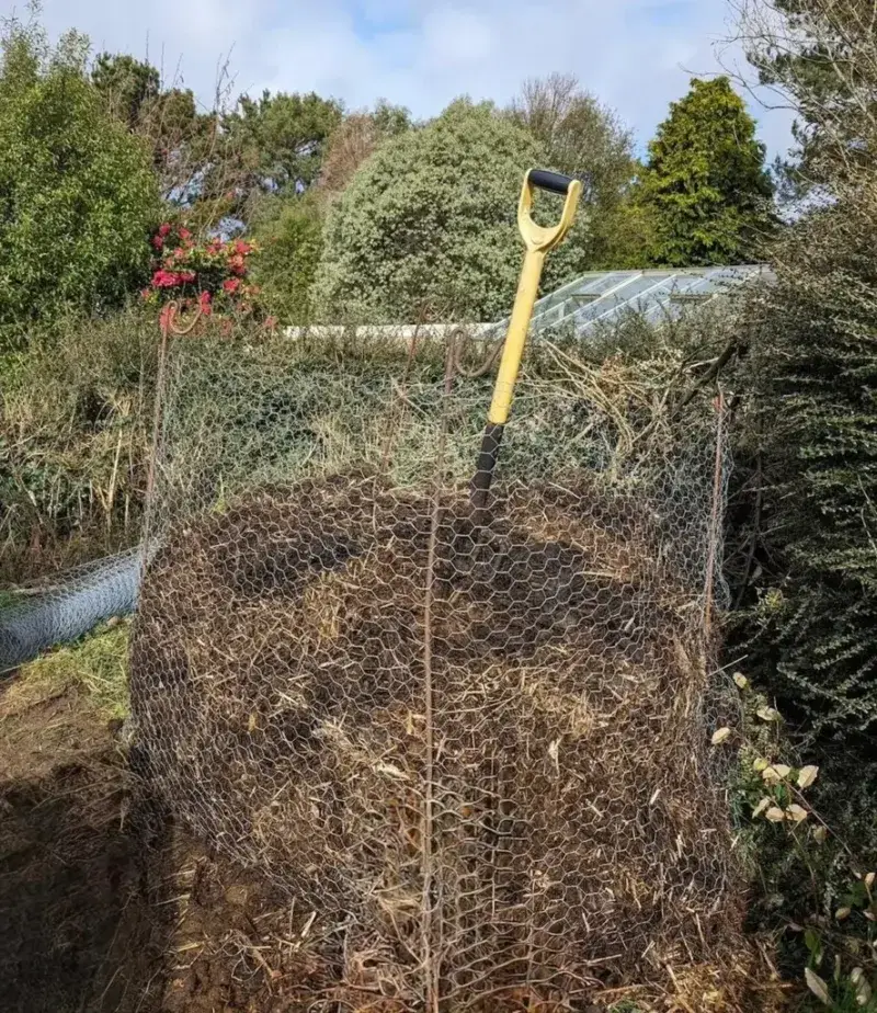 Build a Chicken Wire Cage Filled With Dry Leaves