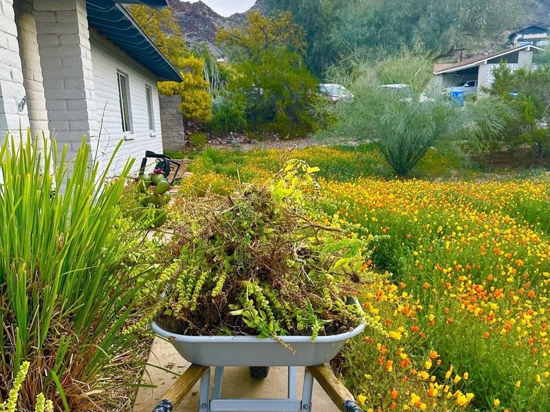 Build habitat potential one yard at a time
