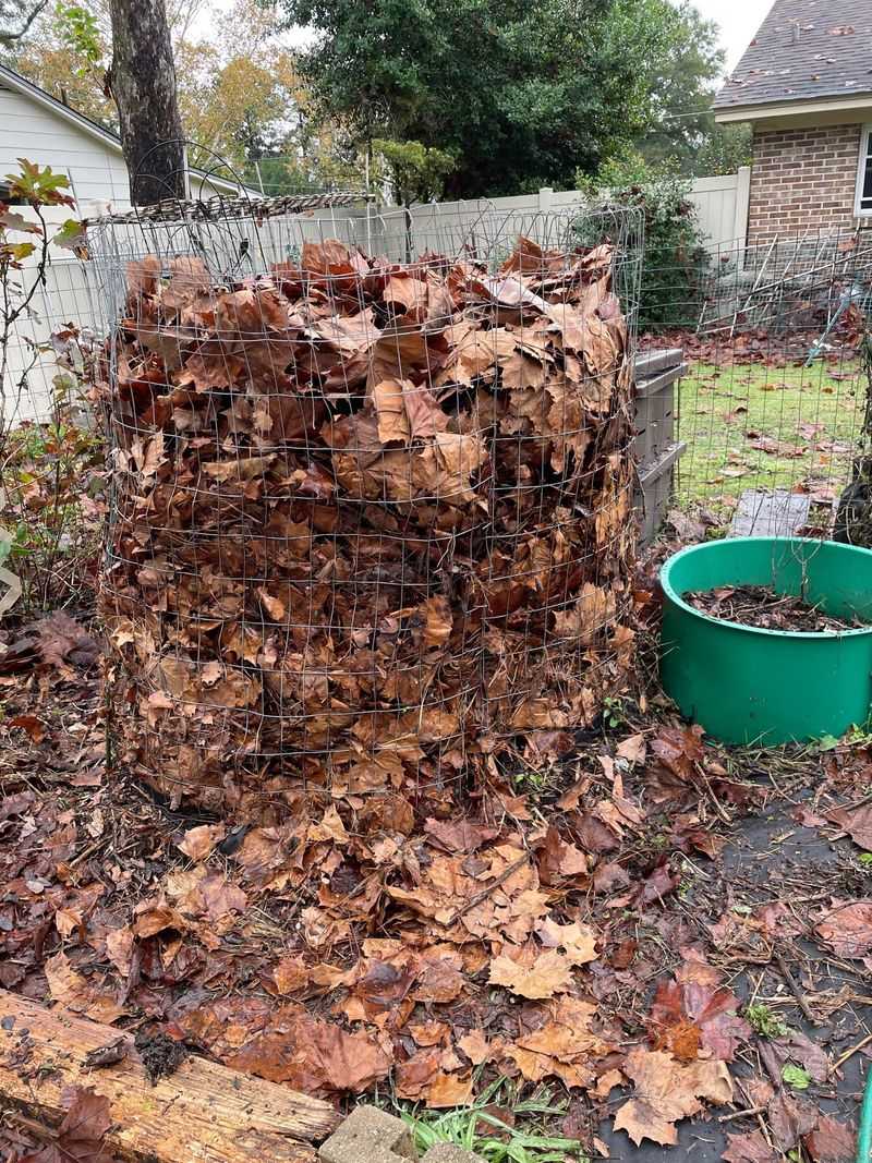 Building A Leaf Compost Pile In Your Backyard