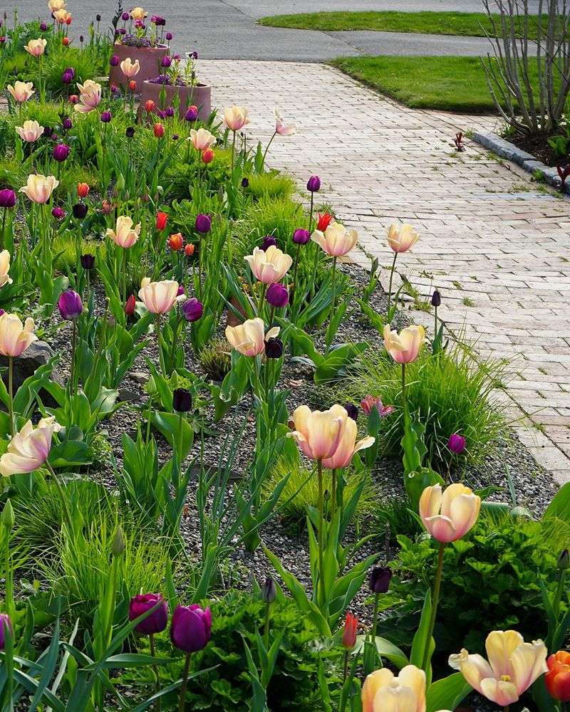 Bulbs Rot When They Sit In Soggy Soil