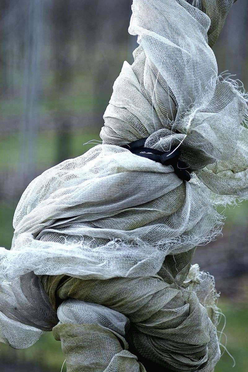 Bundle And Wrap The Branches Snugly