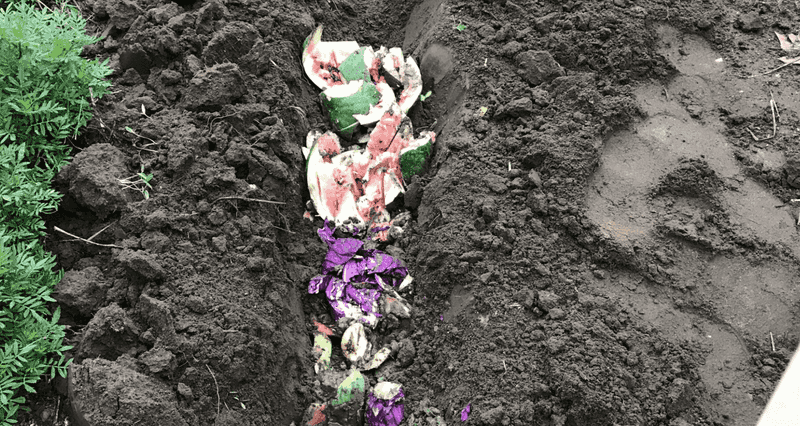 Buried Fruit Gives Spring Garden Beds A Head Start