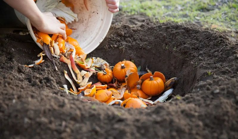 Buried Pieces In Empty Garden Beds