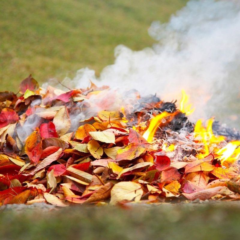 Burning It Can Send Oil Into Your Lungs