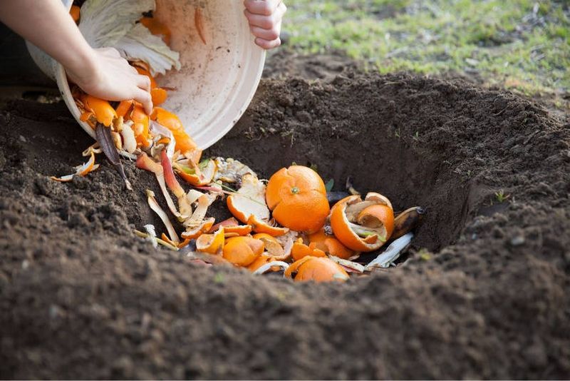 Bury Pumpkin Chunks In Garden Beds Bury Pumpkin Chunks In Garden Beds