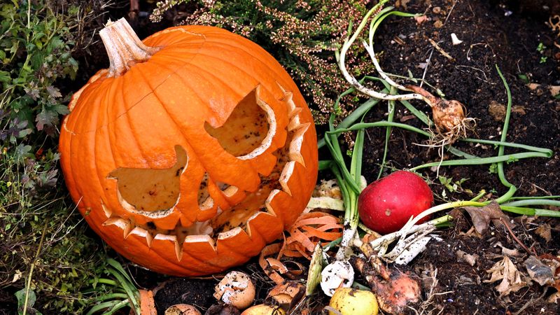 Bury Pumpkin Pieces Right In The Garden Bed
