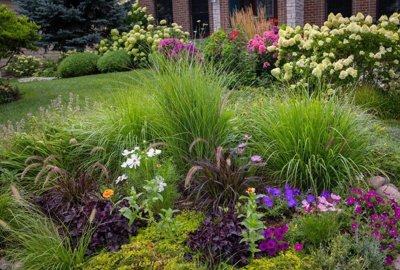 Busy Gardeners Water Less