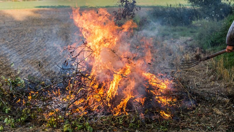 CAL FIRE Can Suspend Burning During Fire Season CAL FIRE Can Suspend Burning During Fire Season