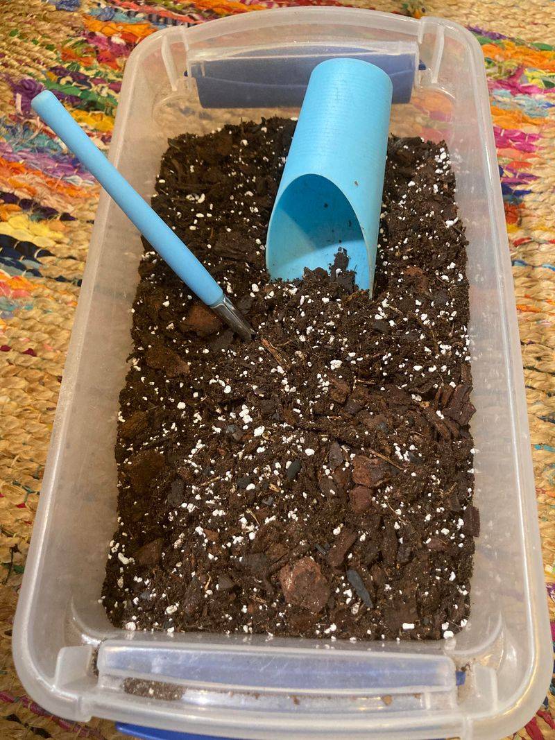 Cactus Mix With Perlite Drains Quickly Cactus Mix With Perlite Drains Quickly