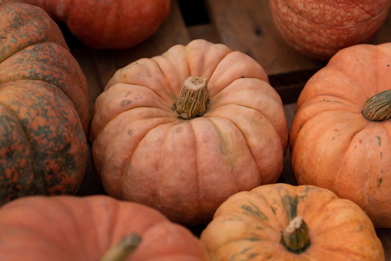 Calabaza