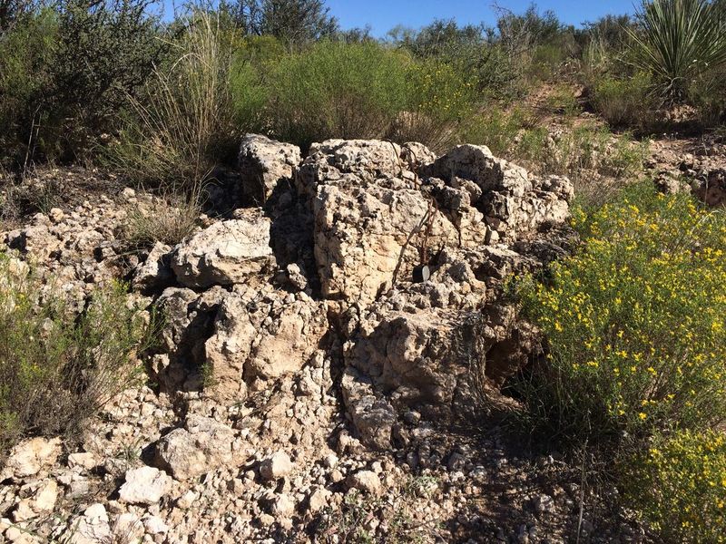 Caliche varies from loose material to solid layers