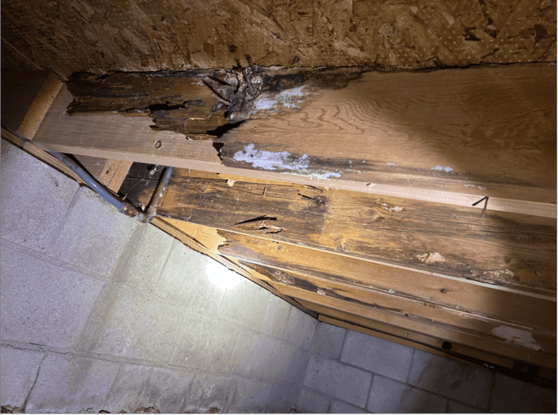 Call A Licensed Inspector To Confirm