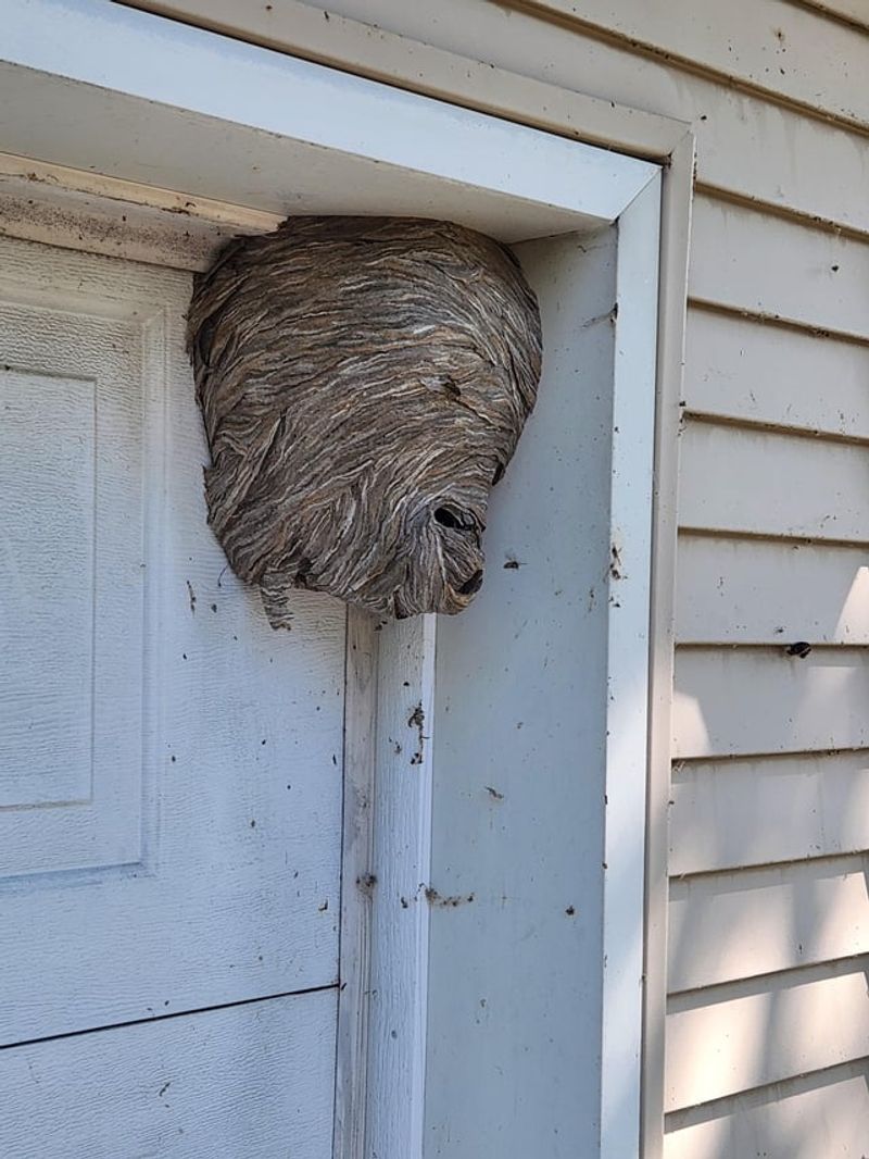 Call A Professional If It Hangs Near A Door Or Play Area