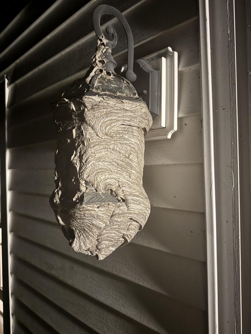 Call A Professional If It Hangs Near Doors Or Play Areas