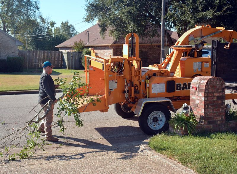 Call Local Tree Trimming Crews