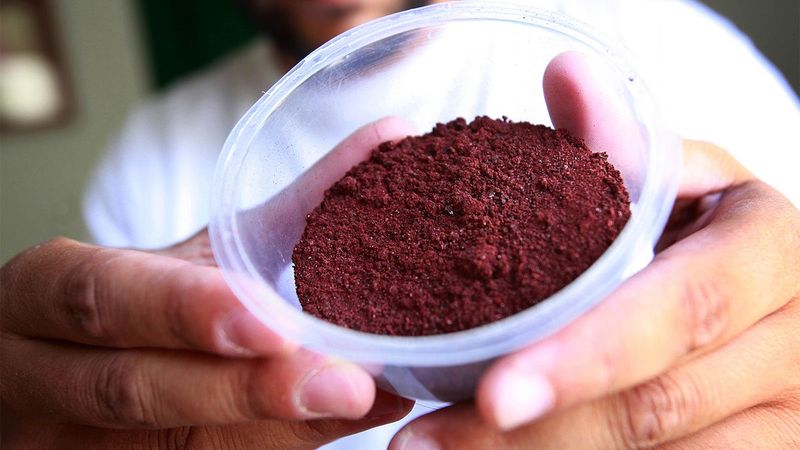 Carmine is made from carminic acid