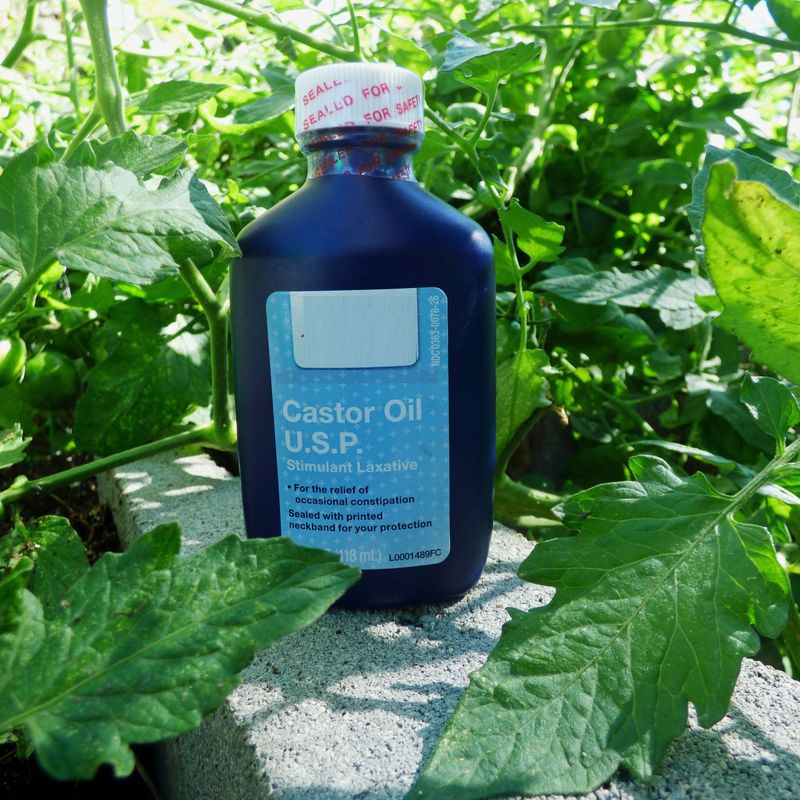 Castor Oil Castor Oil